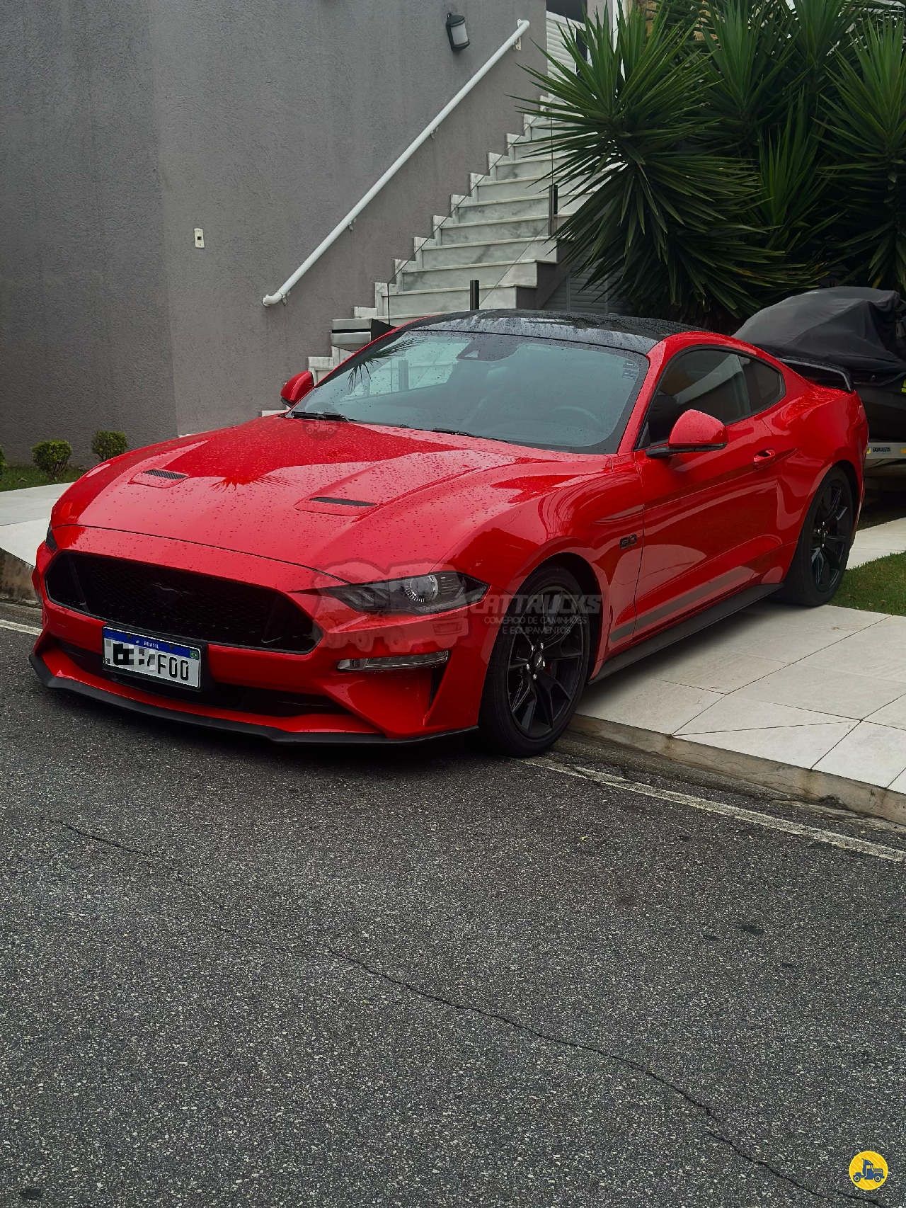 CARRO FORD Mustang GT V8 Cattrucks ARUJA SÃO PAULO SP